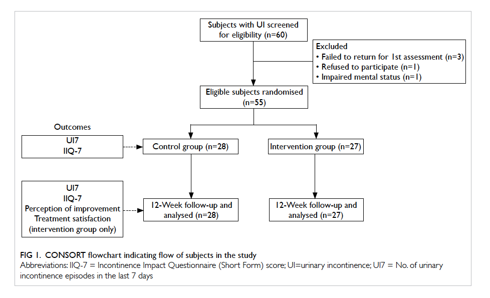 Continence Management Flow Chart