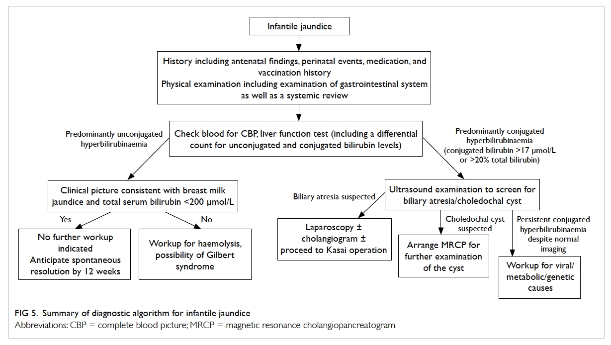 Jaundice In Infants And Children Causes Diagnosis And