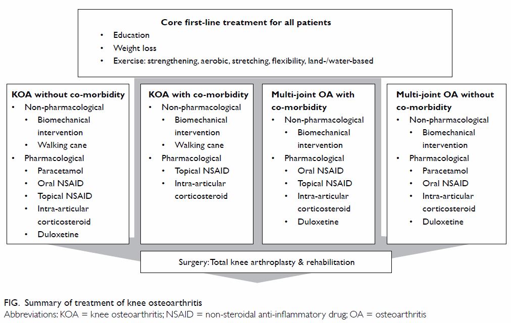 osteoarthritis guidelines 2022 pdf)