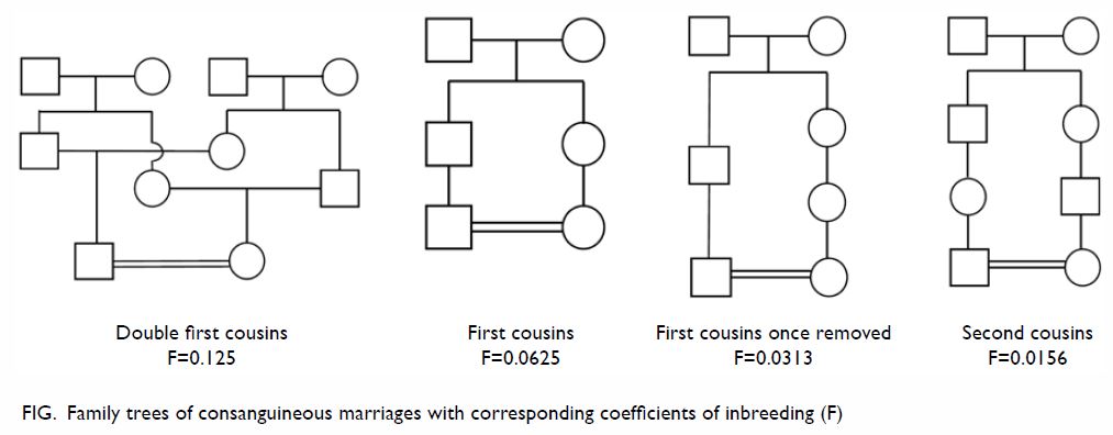 Degrees Of Consanguinity Chart